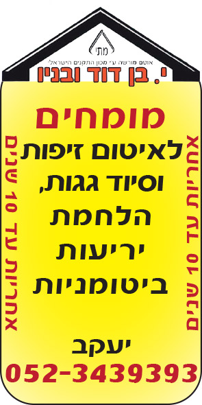 מודעות אנשי מקצוע כריזמה פרסום